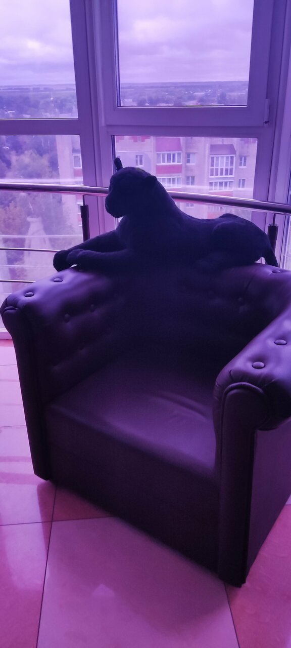 Гостиница Пантера Арзамас-163