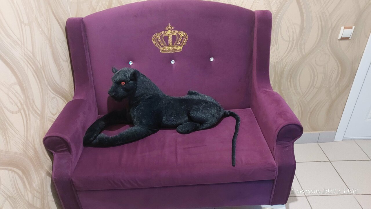 Гостиница Пантера Арзамас-125